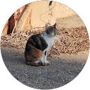 Oniioonn profile picture